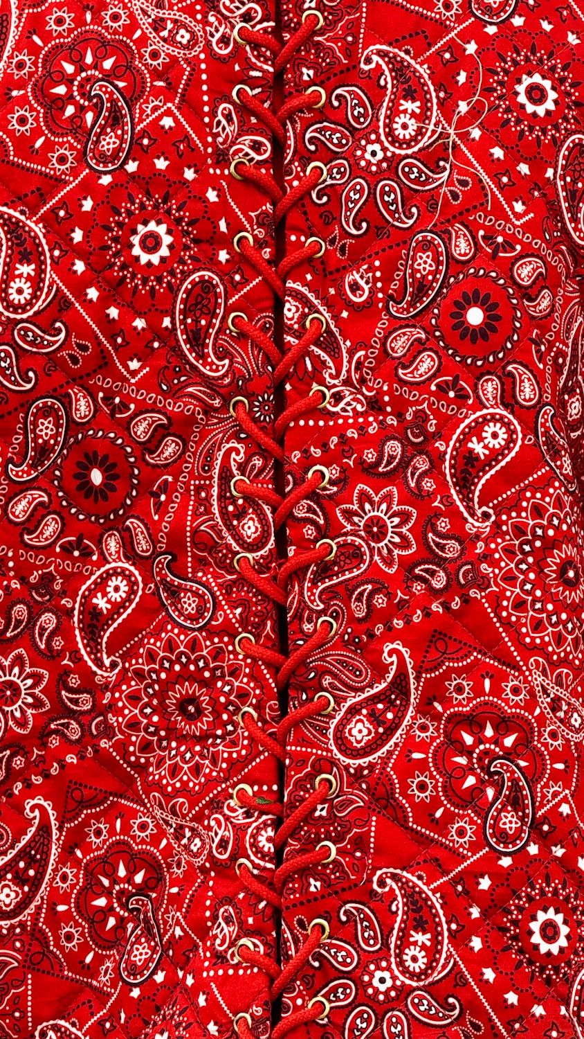 Brick Red Bandana Paisley Jacket